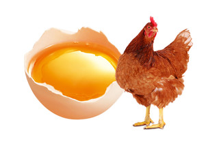 黄色新鲜鸡蛋生鲜食品素材